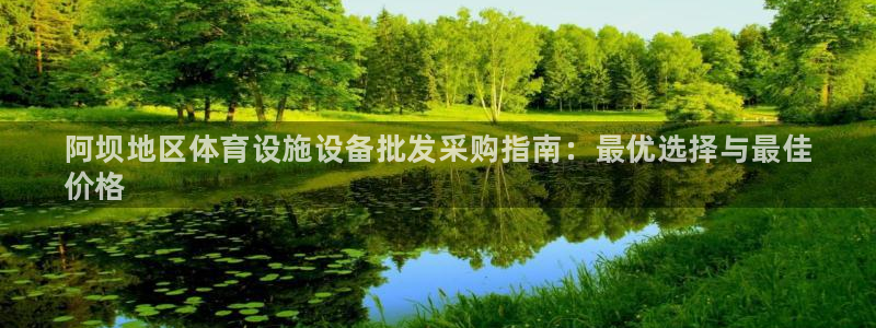 意昂集团官网：阿坝地区体育设施设备批发采购指南：最优选择与最