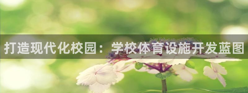 意昂3集团logo：打造现代化校园：学校体育设施开发