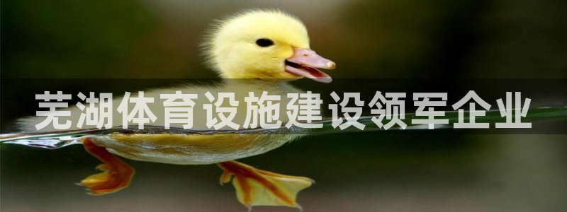 意昂3娱乐首页官网下载