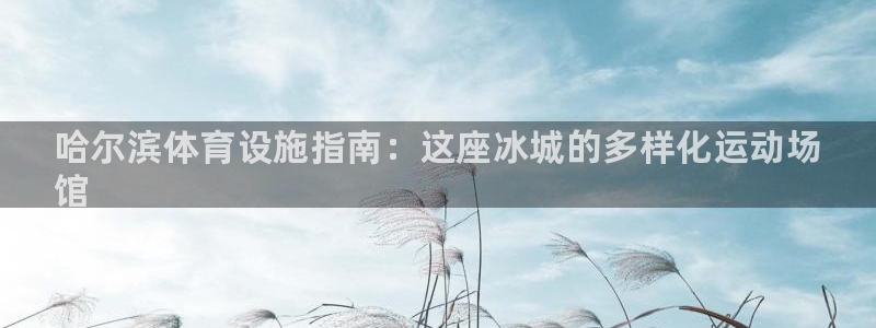 意昂体育3招商电话号码查询是多少：哈尔滨体育设施指南