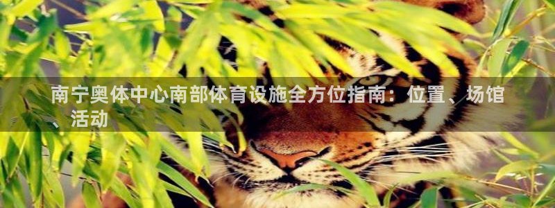 意昂体育3招商电话号码查询：南宁奥体中心南部体育设施全方位指