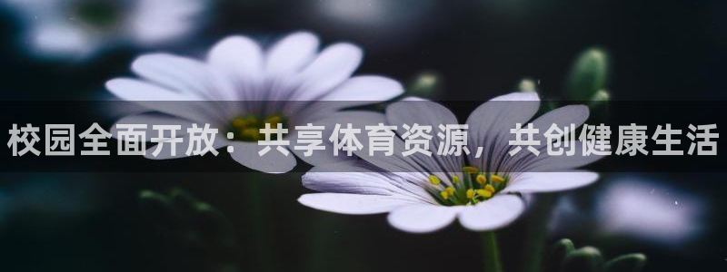 意昂体育3平台是正规平台吗安全吗：校园全面开放：共享体育资源