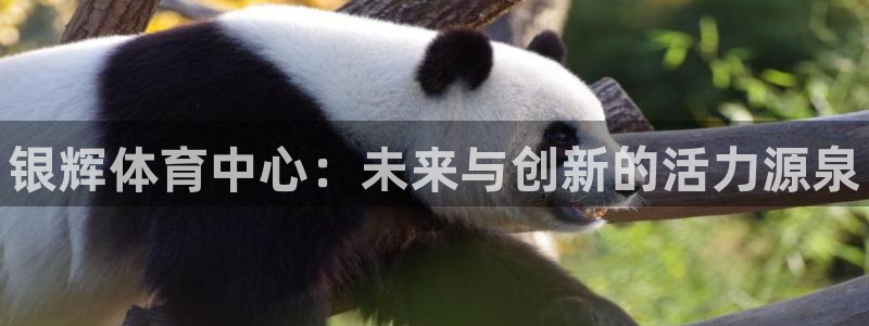 海南意昂体育3发展怎么样：银辉体育中心：未来与创新的活力源泉