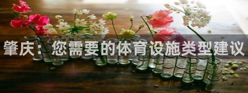 意昂3官方：肇庆：您需要的体育设施类型建议