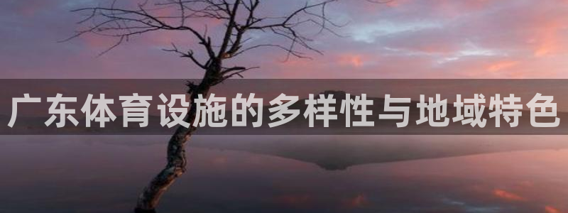 意昂体育3平台注册要钱吗：广东体育设施的多样性与地域