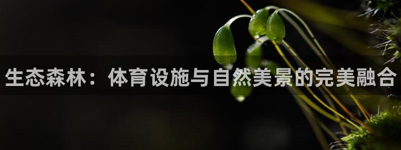 意昂体育3招商电话地址是多少：生态森林：体育设施与自