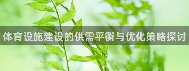 意昂3官网：体育设施建设的供需平衡与优化策略探讨