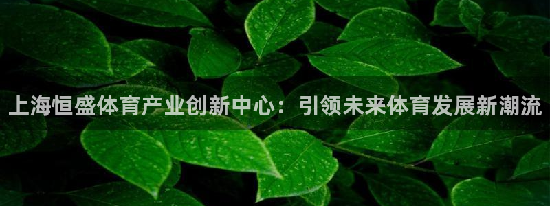 意昂平台体育：上海恒盛体育产业创新中心：引领未来体育