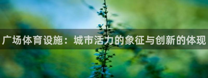 意昂体育3招商电话地址是多少：广场体育设施：城市活力的象征与