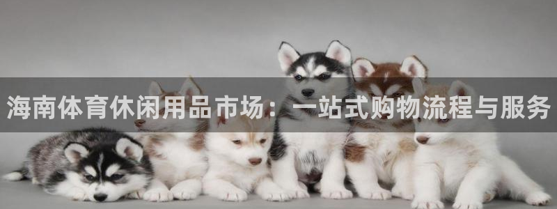 意昂体育3平台注册要钱吗是真的吗：海南体育休闲用品市场：一站