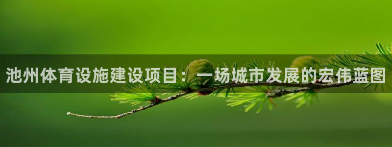 意昂体育3是干嘛的公司：池州体育设施建设项目：一场城市发展的