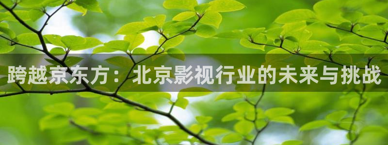 苹果视频影院：跨越京东方：北京影视行业的未来与挑战