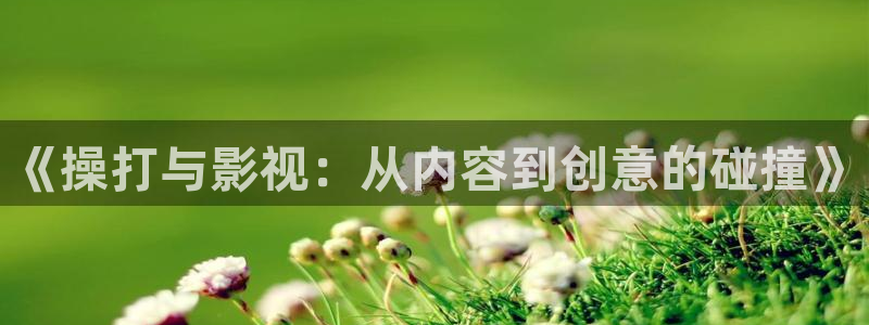 苹果电影 在线：《操打与影视：从内容到创意的碰撞》