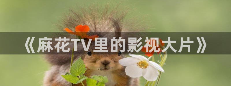 苹果 家庭影院：《麻花TV里的影视大片》