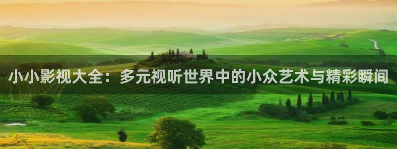 yy苹果影院：小小影视大全：多元视听世界中的小众艺术与精彩瞬间