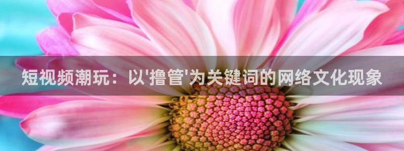 神马影院苹果：短视频潮玩：以\'撸管\'为关键词的网络文化现象
