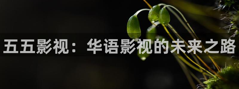 苹果影院免费观看：五五影视：华语影视的未来之路